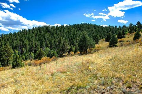 33742 Natural Spring Rd, Pine, CO 80470 photo 5