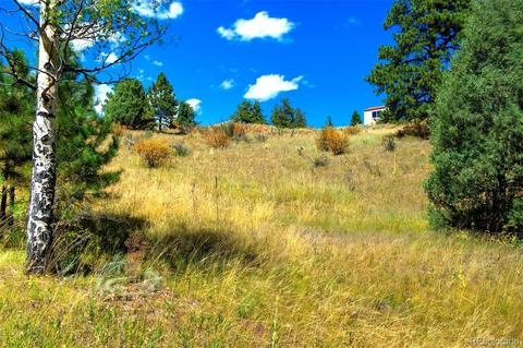 33742 Natural Spring Rd, Pine, CO 80470 photo 13