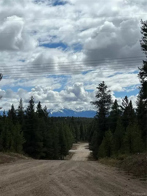 Columbine Court, Leadville, CO 80461