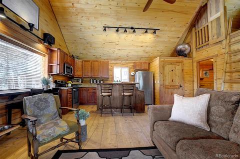 112 Mcdougal Rd, Bailey, CO 80421 photo 11