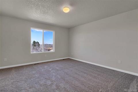 47340 Lilac Ave, Bennett, CO 80102 photo 20