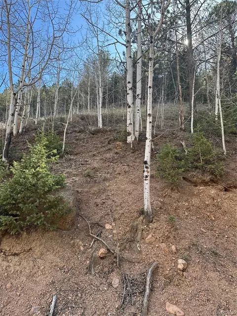 County Road 61, Divide, CO 80816 photo 5