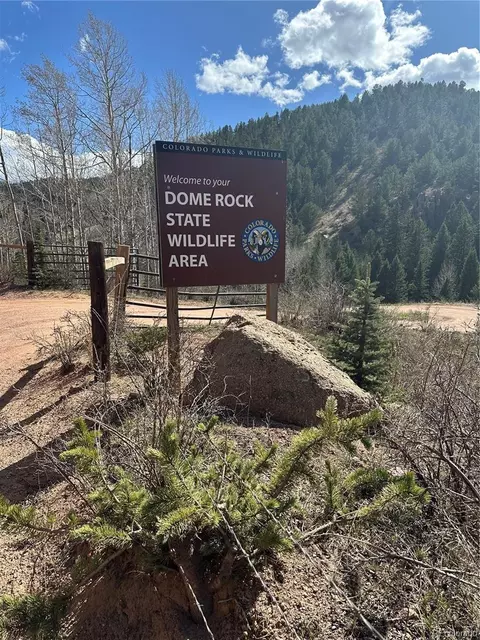 County Road 61, Divide, CO 80816 photo 3