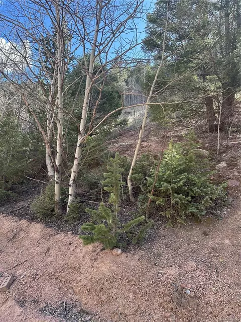 County Road 61, Divide, CO 80816 photo 6