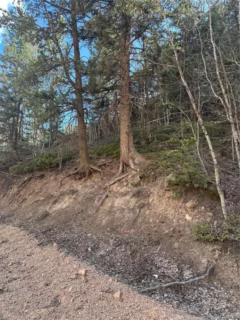 County Road 61, Divide, CO 80816 photo 2