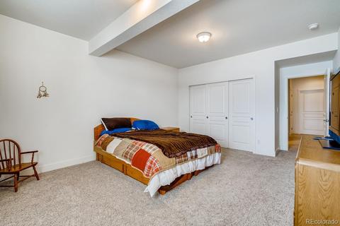 18166 E Saskatoon Pl, Parker, CO 80134 photo 23