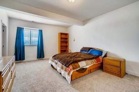 18166 E Saskatoon Pl, Parker, CO 80134 photo 22