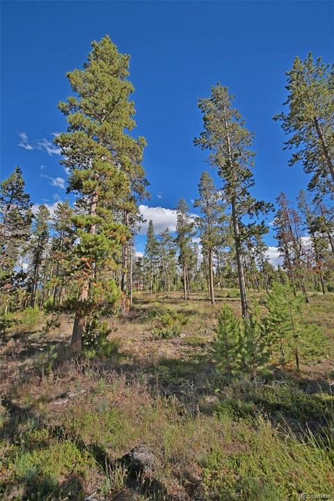 2868 Gcr 511, Tabernash, CO 80478 photo 4