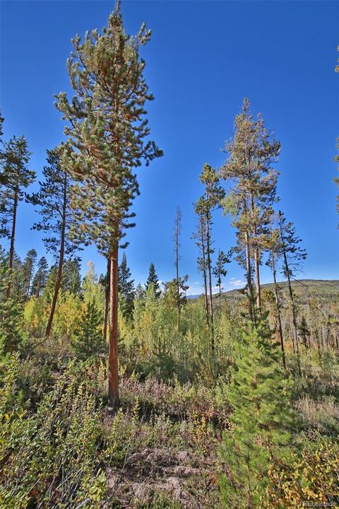 2868 Gcr 511, Tabernash, CO 80478 photo 16
