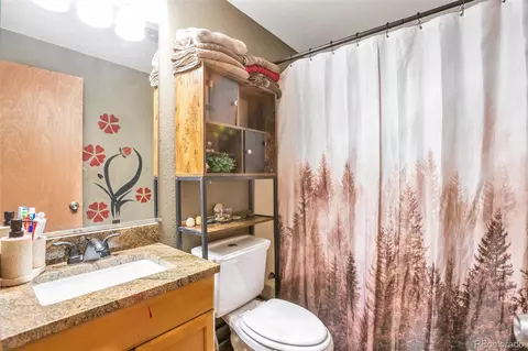 5106 Eagle Ct, Denver, CO 80239 photo 29