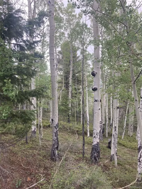 lot6785 Starkweather Rd, San Luis, CO 81152
