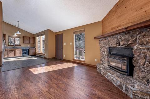 65 Silver Springs Rd, Bailey, CO 80421 photo 2