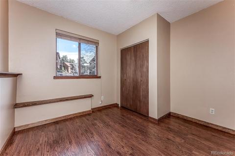 65 Silver Springs Rd, Bailey, CO 80421 photo 19