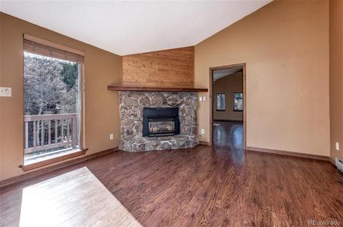 65 Silver Springs Rd, Bailey, CO 80421 photo 3