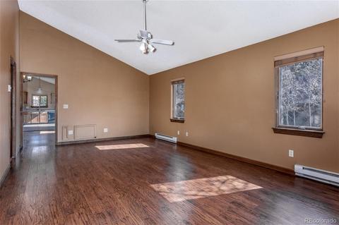 65 Silver Springs Rd, Bailey, CO 80421 photo 12