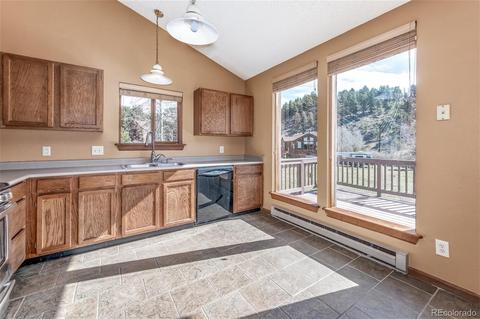 65 Silver Springs Rd, Bailey, CO 80421 photo 8
