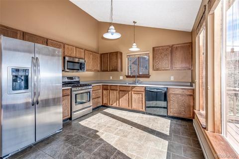 65 Silver Springs Rd, Bailey, CO 80421 photo 6