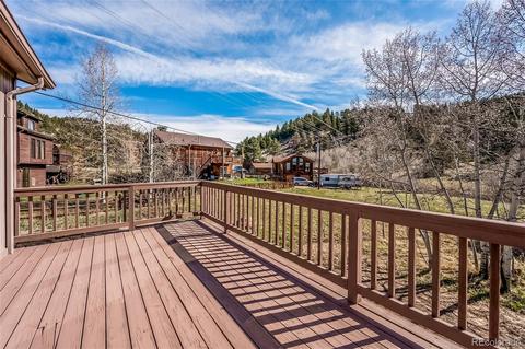 65 Silver Springs Rd, Bailey, CO 80421 photo 9