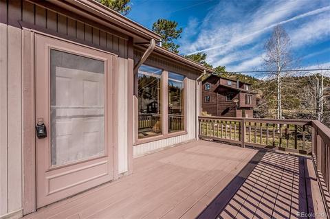 65 Silver Springs Rd, Bailey, CO 80421 photo 28