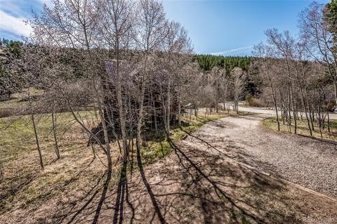 65 Silver Springs Rd, Bailey, CO 80421 photo 30