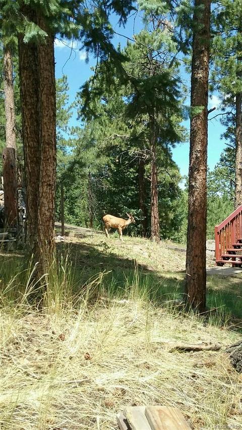 30924 Ruby Ranch Rd, Evergreen, CO 80439 photo 25