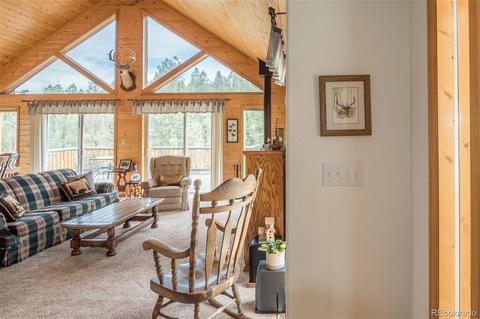 1164 Singletree Rd, Hartsel, CO 80449 photo 27