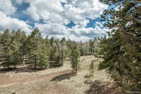 1164 Singletree Rd, Hartsel, CO 80449 photo 4
