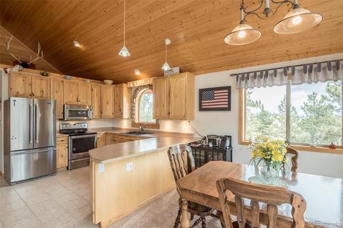 1164 Singletree Rd, Hartsel, CO 80449 photo 13