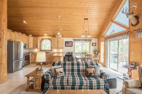 1164 Singletree Rd, Hartsel, CO 80449 photo 24