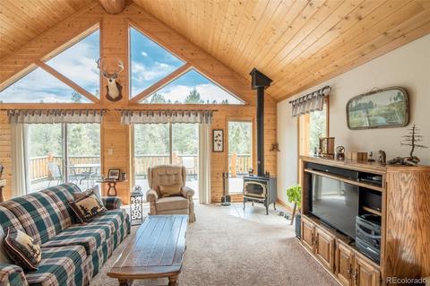 1164 Singletree Rd, Hartsel, CO 80449 photo 20