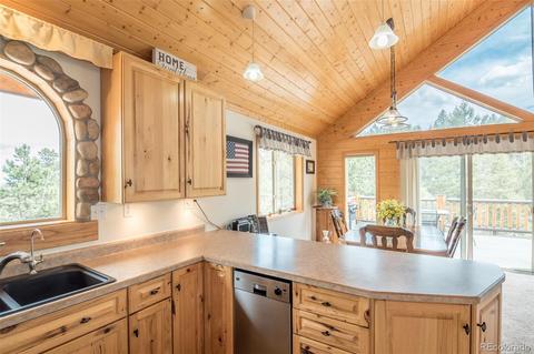 1164 Singletree Rd, Hartsel, CO 80449 photo 19