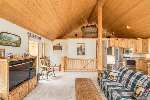 1164 Singletree Rd, Hartsel, CO 80449 photo 28