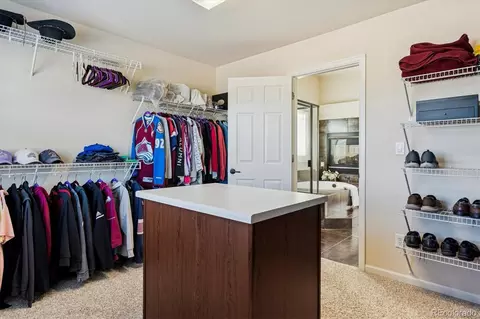 3902 Eagle Tail Ln, Castle Rock, CO 80104 photo 23