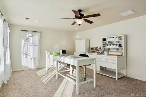 3902 Eagle Tail Ln, Castle Rock, CO 80104 photo 17