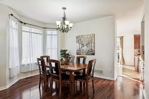 3902 Eagle Tail Ln, Castle Rock, CO 80104 photo 6