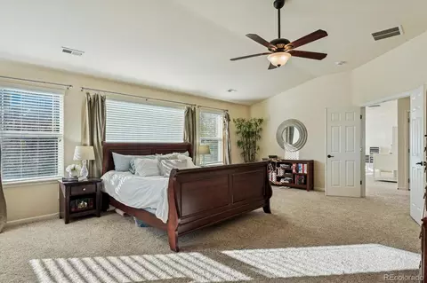 3902 Eagle Tail Ln, Castle Rock, CO 80104 photo 19