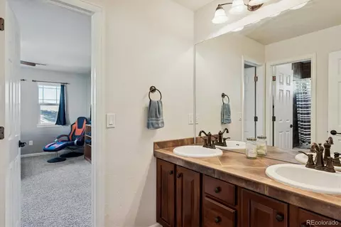 3902 Eagle Tail Ln, Castle Rock, CO 80104 photo 25