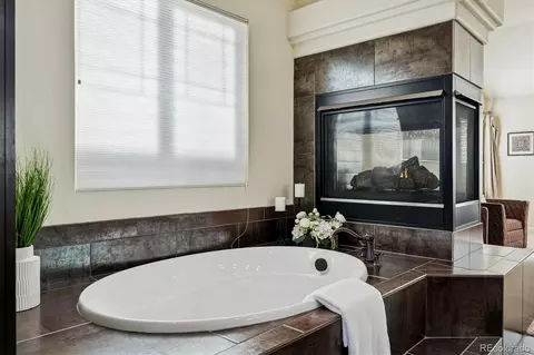 3902 Eagle Tail Ln, Castle Rock, CO 80104 photo 22