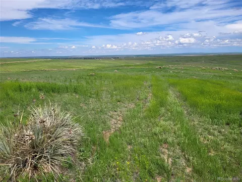 County Road 160, Agate, CO 80101 photo 4