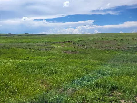 County Road 160, Agate, CO 80101 photo 24