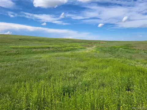 County Road 160, Agate, CO 80101 photo 25