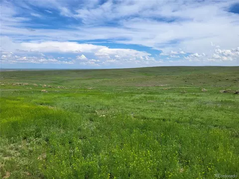 County Road 160, Agate, CO 80101 photo 3
