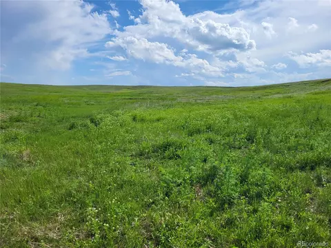 County Road 160, Agate, CO 80101 photo 30