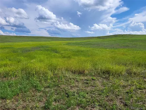 County Road 160, Agate, CO 80101 photo 19