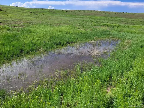 County Road 160, Agate, CO 80101 photo 10