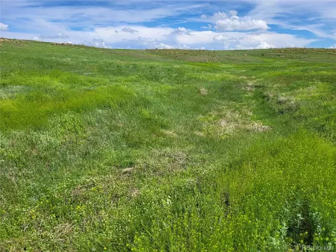 County Road 160, Agate, CO 80101 photo 9