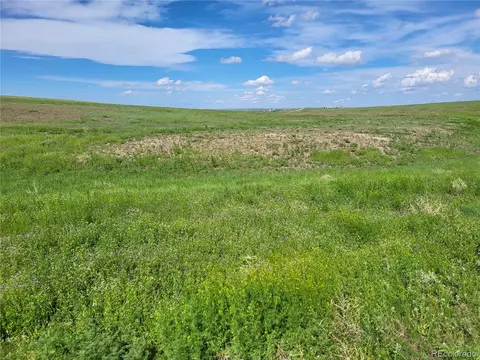 County Road 160, Agate, CO 80101 photo 15