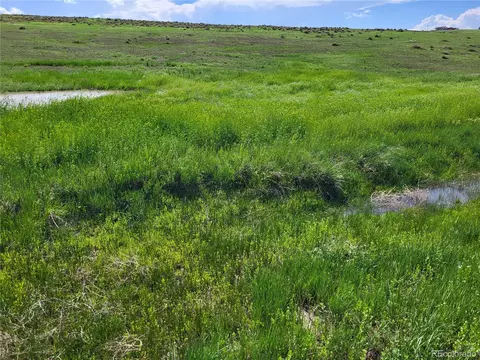 County Road 160, Agate, CO 80101 photo 7