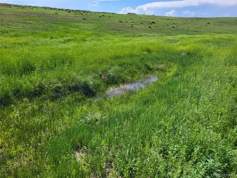 County Road 160, Agate, CO 80101 photo 8