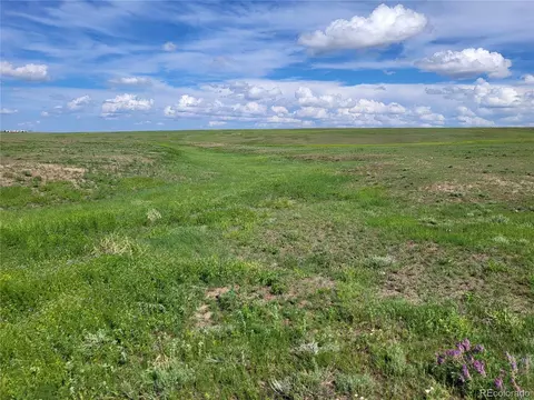 County Road 160, Agate, CO 80101 photo 16